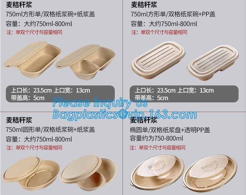 Meal Prep Containers Free Sample Bento Lunch Box Biodegradable Food Container Plastic Wheat Straw Lunch Box bagplastics