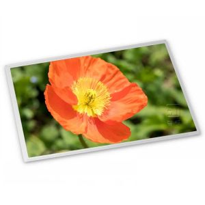 M238HAN03.1 23.8-Inch IPS WLED TFT-LCD Screen Panel with LVDS Interface 1920