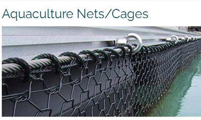 50mm* 60mm Twist Hexagonal Gabion Wire Netting Polyester OEM