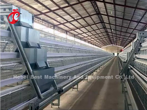 Automatic Battery Layer Cage , Poultry Farming Cage Nigeria Lagos Sandy