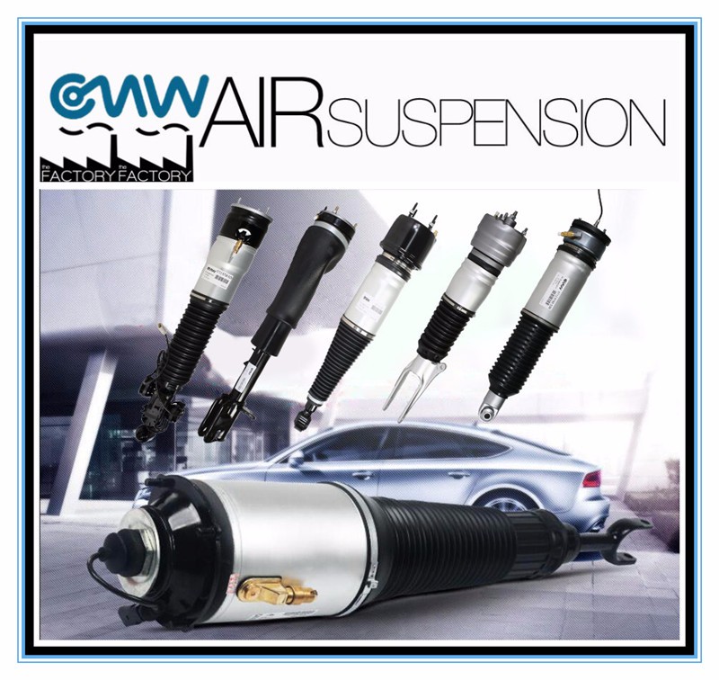 OEM Bentley Phaeton Volkswagen Struts Rear Air Suspension 3D0616001N