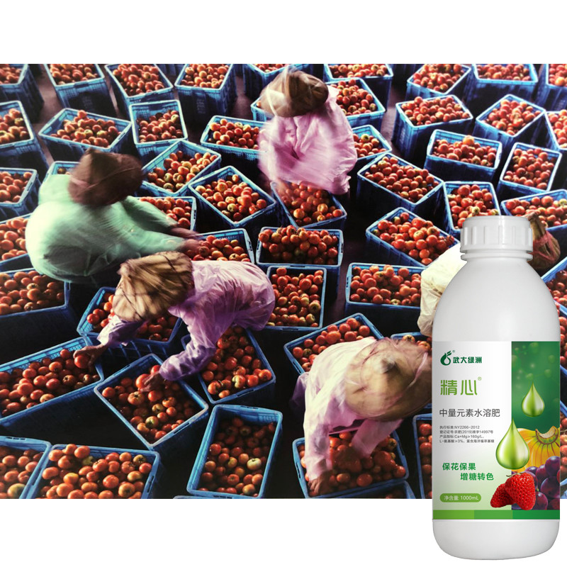 Jingxin Medium Element Water Soluble Biological Fertilizer Prevent Calcium Magnesium Deficiency