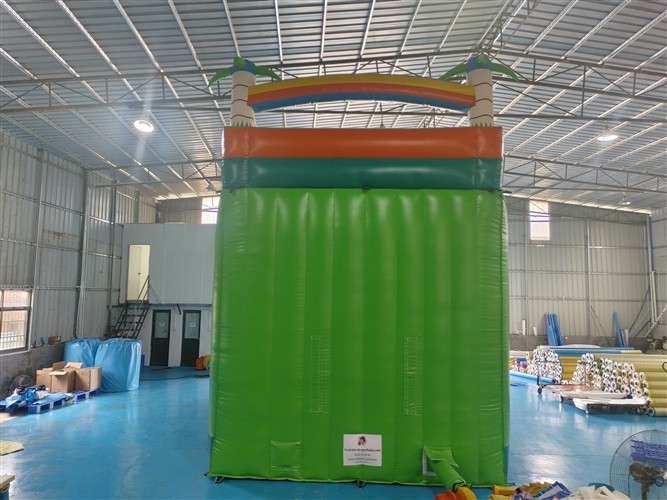 Silk Printing Commercial Inflatable Dry Slide Outdoor Jumping Bouncer Slide
