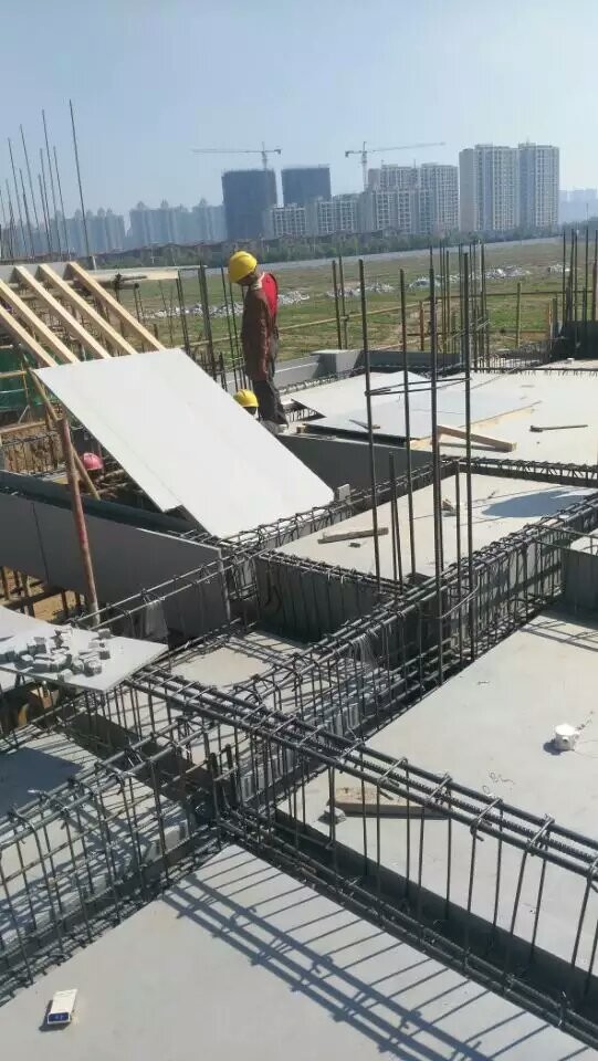 Building Lightweight 1220x2440×12mm Plastic Concrete Wall Forms