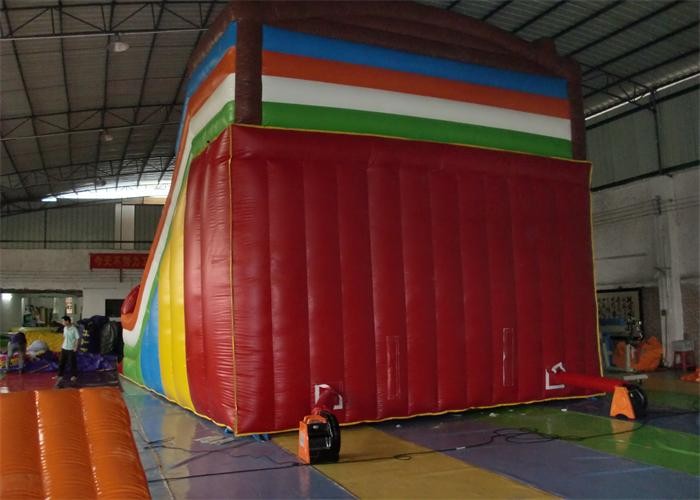 Exciting Commercial Inflatable Slide , Sea Animal Inflatable Slip and Slide