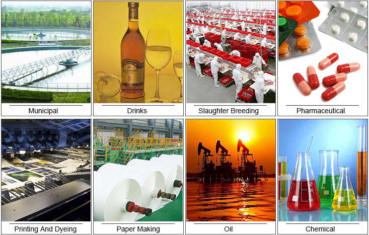 100L/Hour TPDL Volute Screw Sludge Dewatering System for Biological Sludge Treatment