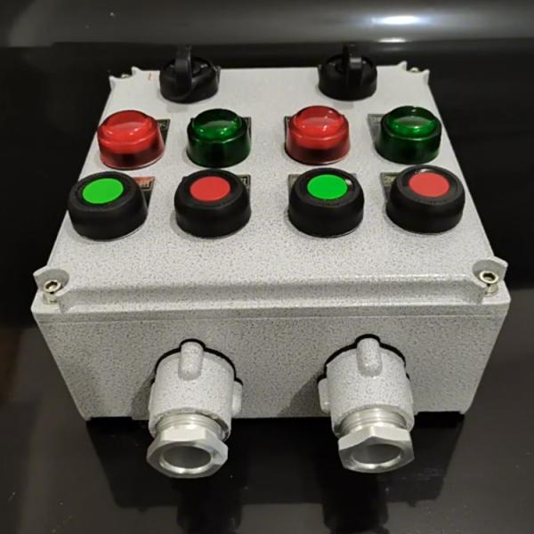 Quality Explosion-Proof Two-Button Operation Box Anti-Corrosive Power Distribution Equipment with Two Indicators for sale