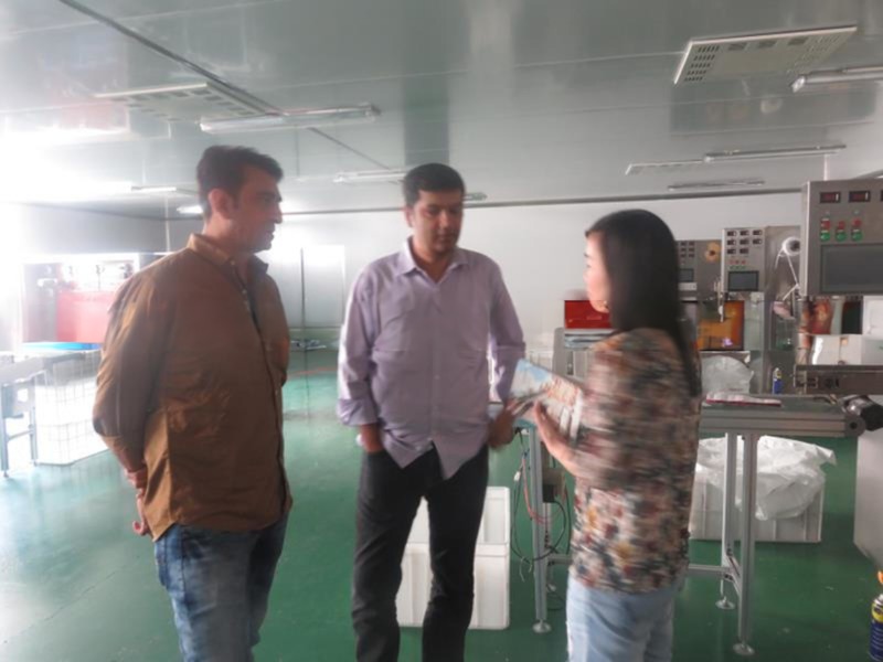 Automatic KC-FCP-I Chili Medical Plaster Machine for Plastic Film Packaging Packaging