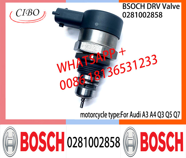 BOSCH DRV Valve 0281002858 Control Valve 0281002858 for Audi A3 A4 Q3 Q5 Q7
