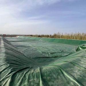 Long Lifespan Hdpe Smooth Geomembrane Multi Scenario Pvc Geomembrane Liner