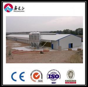 China CE Broiler Chicken Cage System Pan Feeding System For Poultry Farming on sale