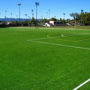  Double Color Synthetic Artificial Grass Premier League In Soccer Stadium Manufactures