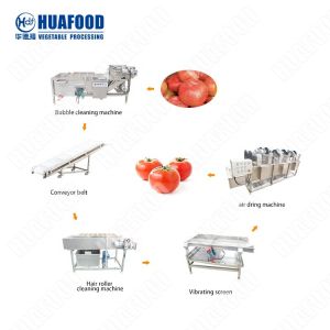Potato Lettuce Cucumber Processing Line Food Processing Washing Machine Fruit