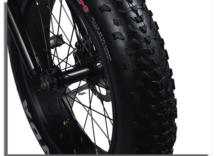 48V 20" Fat tire Ebike with Foldable Design and One Seat Capacity Range per Power 31-60 km