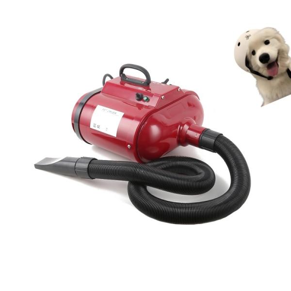 Double Motor Dog Blow Dryer with 3 Nozzles and 110V/220V Voltage for Efficient