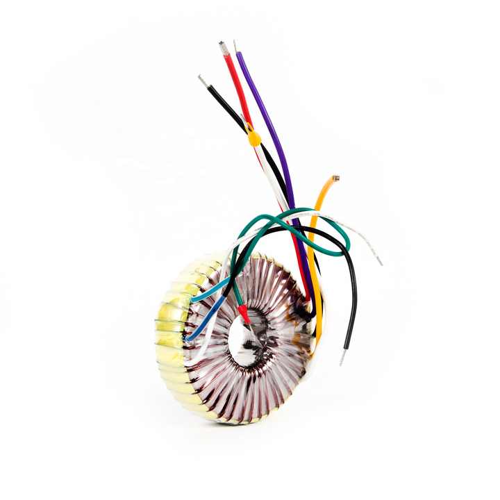 Toroidal 220v Convert 110v Step Up and Down Transformers with Customized Package Type