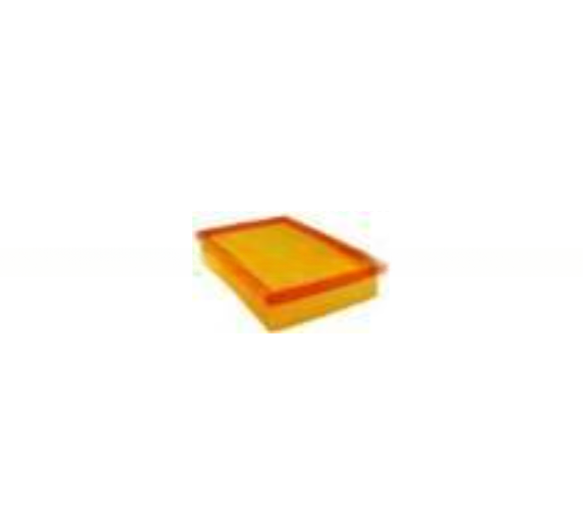 Peugeot/Citroen C2859 1542777 C25117/2 1444-W3 C33156/1 1444-T8 1444-P1 1444-86 96144871 C3173 Air Filter