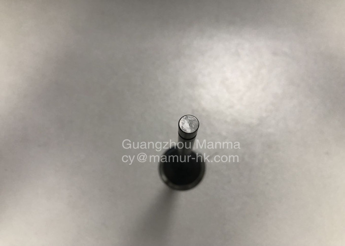 8943958820 ISUZU Engine Parts Intake Valve For ISUZU NPR 4HK1 6HK1