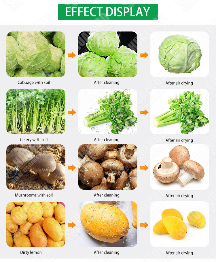 carrots 10.1kw 1500kg/h SS304 Vegetable Dryer Machine