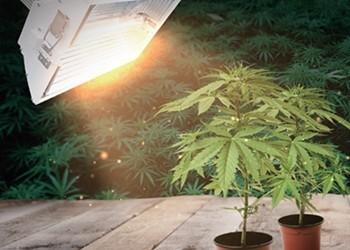 High Pressure Sodium HID Grow Lights A350 , DE Grow Light For Large Scale