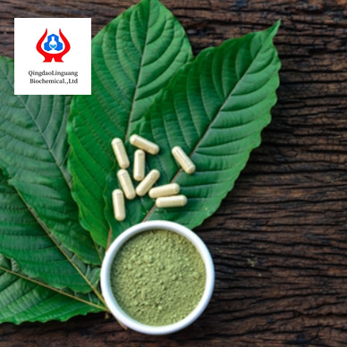 High Purity Cmc Food Additive Sodium Salt Sodium Carboxymethylcellulose