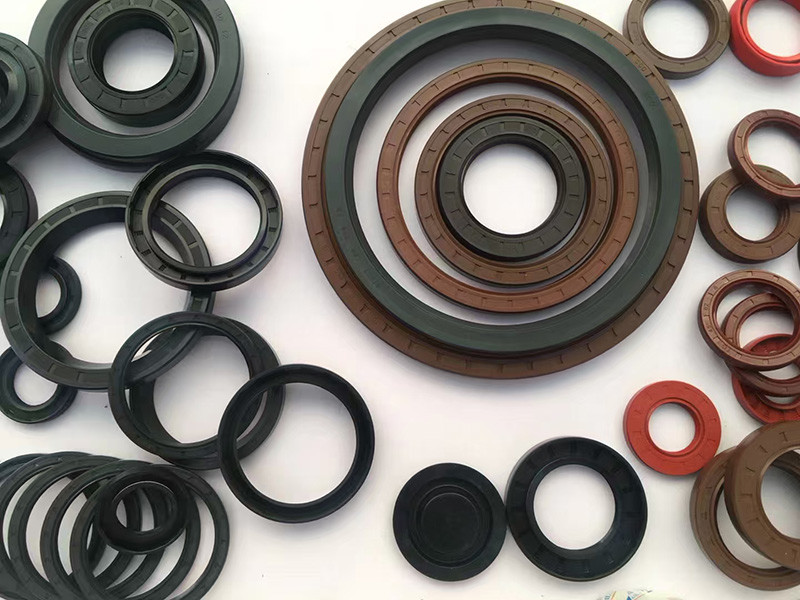 TCV Skeleton Oil Seals Machine Rotary Shaft Oil Seal For Temperature Environments