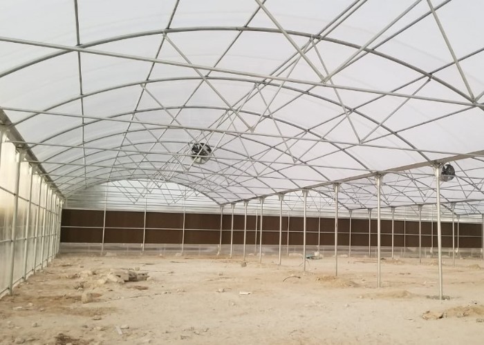 8mm 10mm Commercial Polycarbonate Greenhouse With Shading System Irrigation System