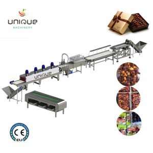 Date Paste Palm Date Production System for Date Puree Sauce Jam Processing