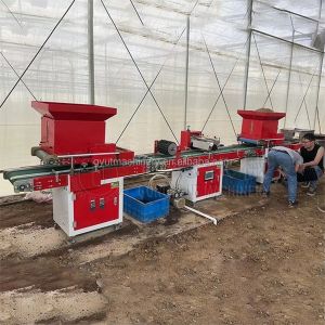 Automatic Vegetable Flower Seed Seedling Planting Machine for 105 128 200 Cells Trays