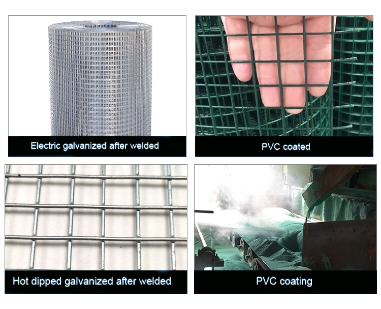 0.5-2 mm 1/2x1/2 1x1 50x50mm square mesh galvanized after welding hot dipped galvanized welded wire mesh
