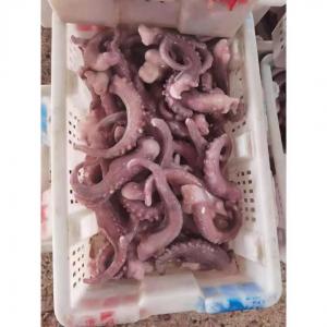  For Thailand Fish Market A Grade IQF Frozen Indian Squid Tentacles Cut Wholes Manufactures