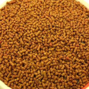 BV SGS ISO9001 Mini Pellet Machine Rice Hulls Small Pellet Feed Making Machine