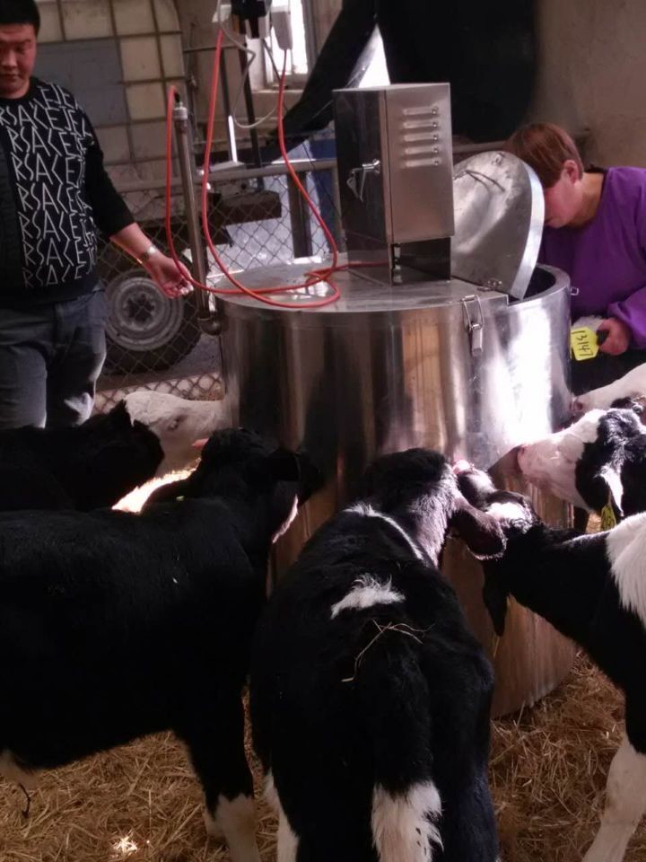 10 Rubber Teats Stainless Steel Baby Cow Milk Feed Container for Calves Milk Drinking