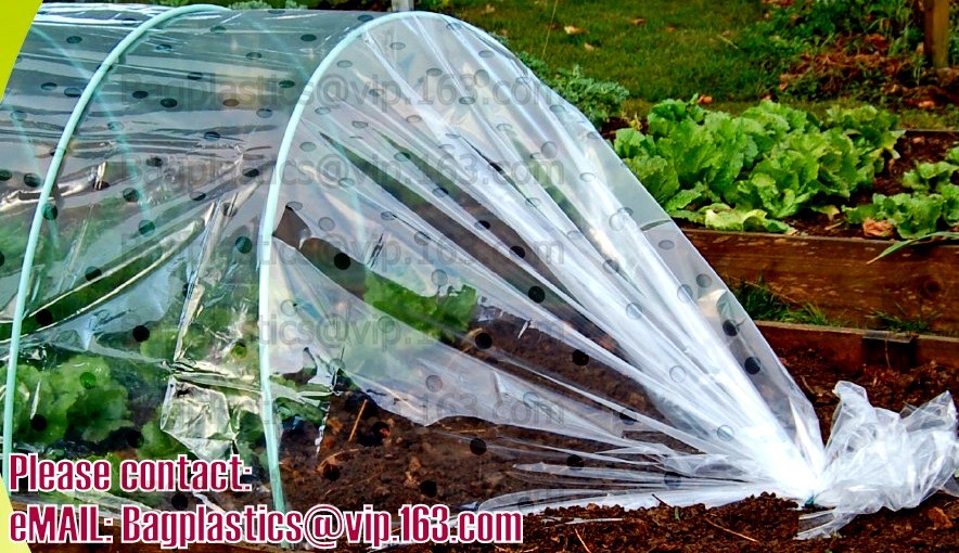 Transparent / Black / Silver / White color Plastic PE LDPE Agriculture Mulching Film,panda strawberry mulch film/black w