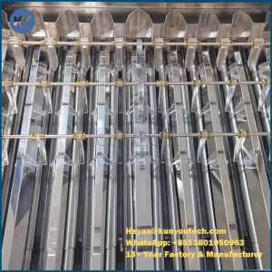 0.5KW Paintball Sorting Machine