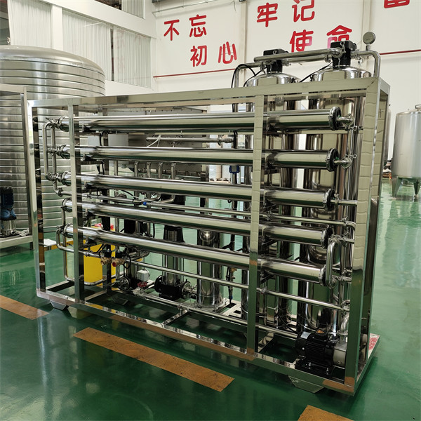 Industrial Reverse Osmosis Plant Filter Water Purifying Machine 1000 Lph