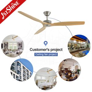 Installation Ceiling 60" Low Noise Ceiling Fan with Remote Control and Private