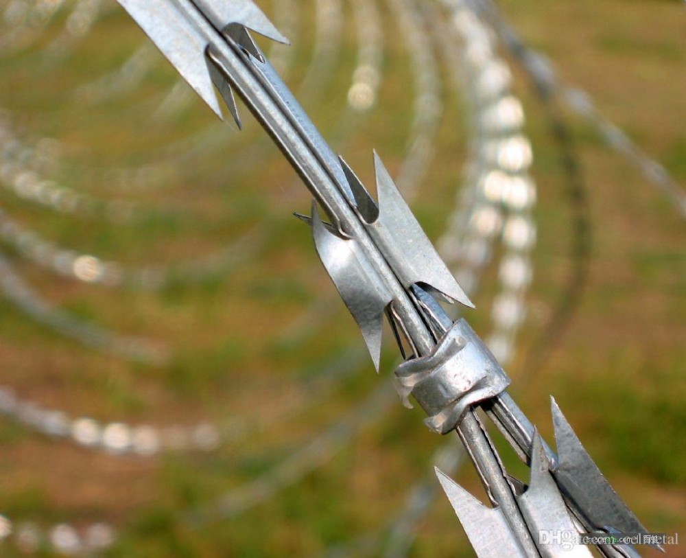 Electro Galvanized1.5mmx1.5mm Diamond Welded Razor Wire Mesh
