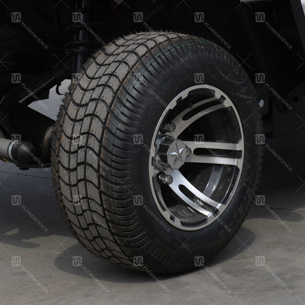 40 Mph EV Zone Golf Cart Vehicle 2-4 Passengers Power Steering
