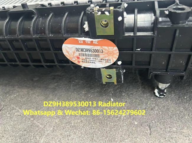Radiator Assembly DZ9H389530013 HOWO Truck Parts Engine Radiator Coolant Radiator