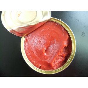 ISO Certified Canned Tomato Paste with Salt Non-GMO Ingredients