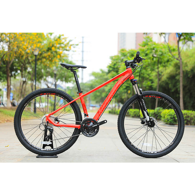 Teenager Christmas Gift 24 Speed Mountain Bike with Titanium Frame and Durable Design