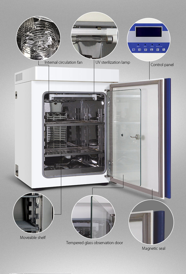 Stainless Steel Inner Cell Culture Incubator Lab Tissue Culture Incubator 160L