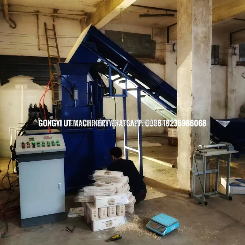 Automatic Grade Packaging Machine for Shaving Press Bagging Baler at 2023 Arrival