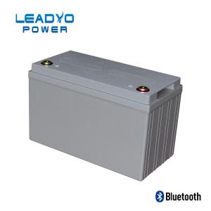  50Ah 24V Lifepo4 Battery Deep Cycle Lithium Ion Battery Weight 31 Lbs Manufactures
