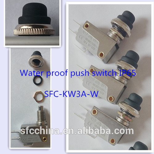 waterproof push button switch