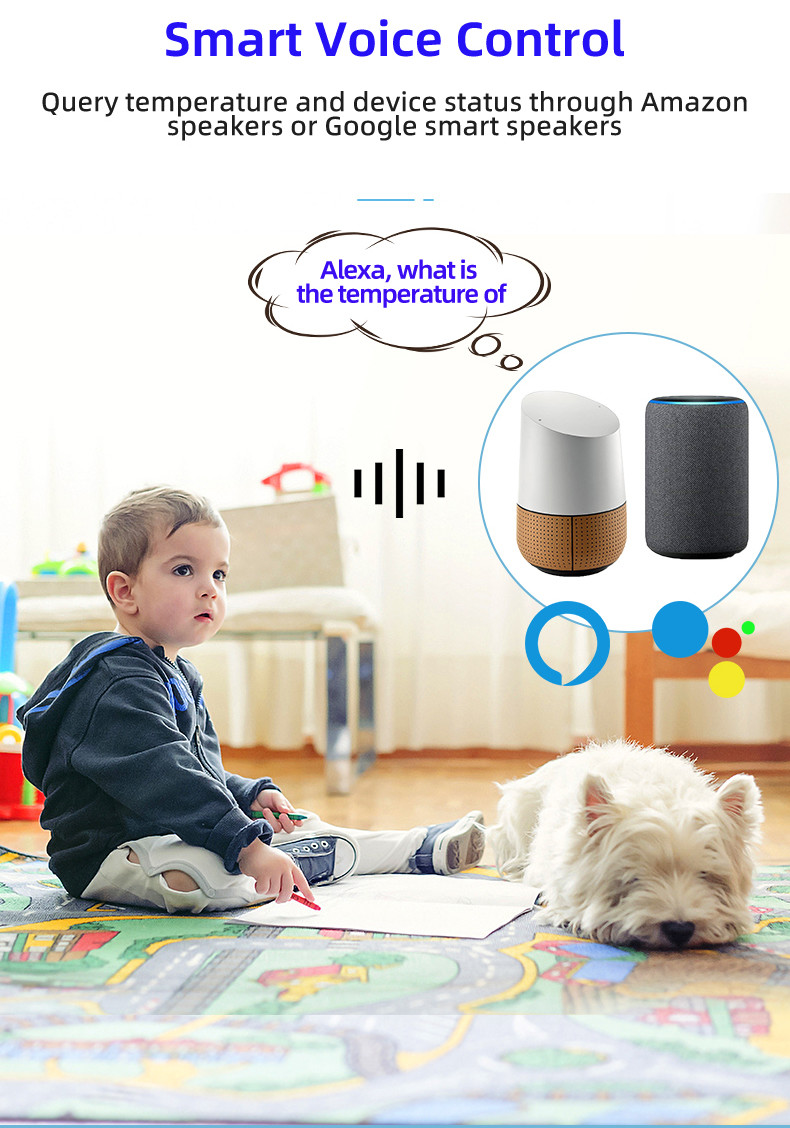 Glomarket Smart Home EU WiFi Smart Plug For home automation Works with Google&Alexa Support APP Remote Control