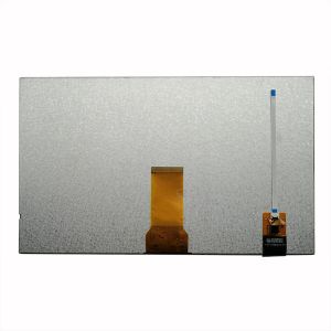 10.1 Inch PCAP TFT Display 1024x600 Dots RGB Interface With LED Backlight