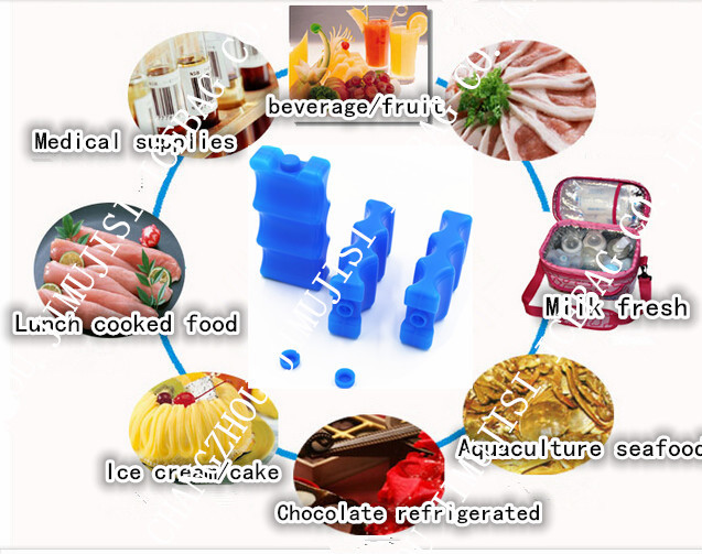 Colorful Plastic Hard Ice Pack Beer Cooler For Outdoor Drink Cooling