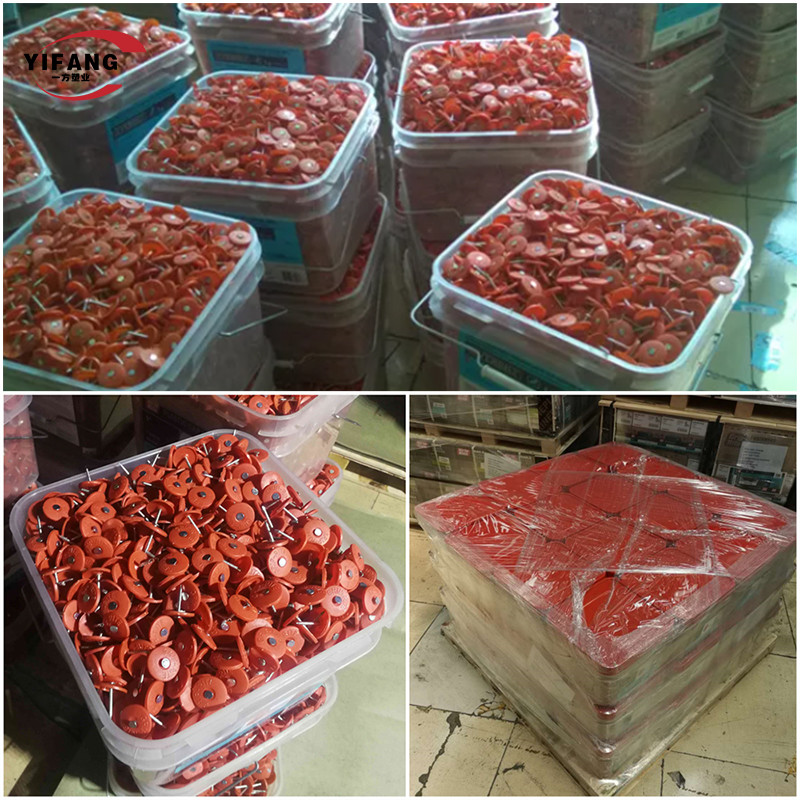 7/8inch Galvanized Iron Roofing Nails With Plastic Caps Heat Preservation